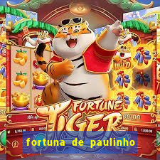 fortuna de paulinho roupa nova